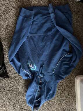 Victoria's Secret PINK 'For The Planet' Hoodie and Sweatpants Set